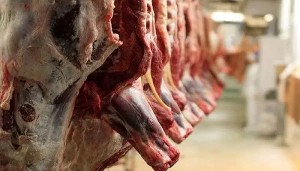 واردات گوشت به‌رغم ادعای مازاد تولید/ چرا قیمت گوشت افزایش یافت؟
