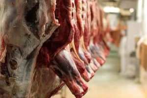 تولید داخلی گوشت، قربانی رانت واردات