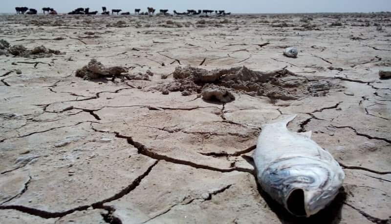 بحران آب و حکمرانی آب در ایران، خرداد 1402