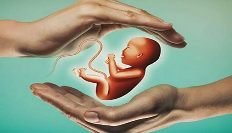 رصد مادران باردار تا زایمان  و ممنوعیت سقط جنین در قانون جوانی جمعیت خرداد 1402
