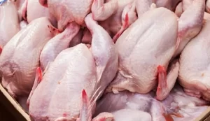قیمت مرغ ۱۶ مرداد ۱۴۰۲/ قیمت مرغ پر کشیده است