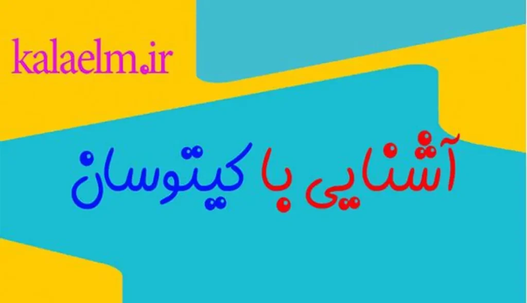 کیتوسان 1