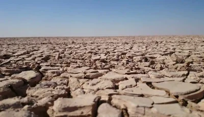 دومینوی مرگ تالاب‌ها/ ایران در چنبره گرد و غبار گرفتار می‌شود