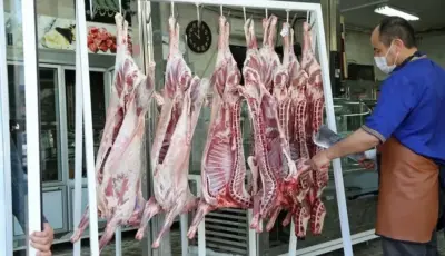 فروش گوشت بز به اسم گوشت قرمز ارزان!/ تهدید معیشت 5 میلیون ایرانی