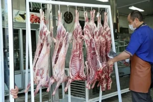 گوشت ارزان را فراموش کنید/ واردات گوشت باید بیشتر شود