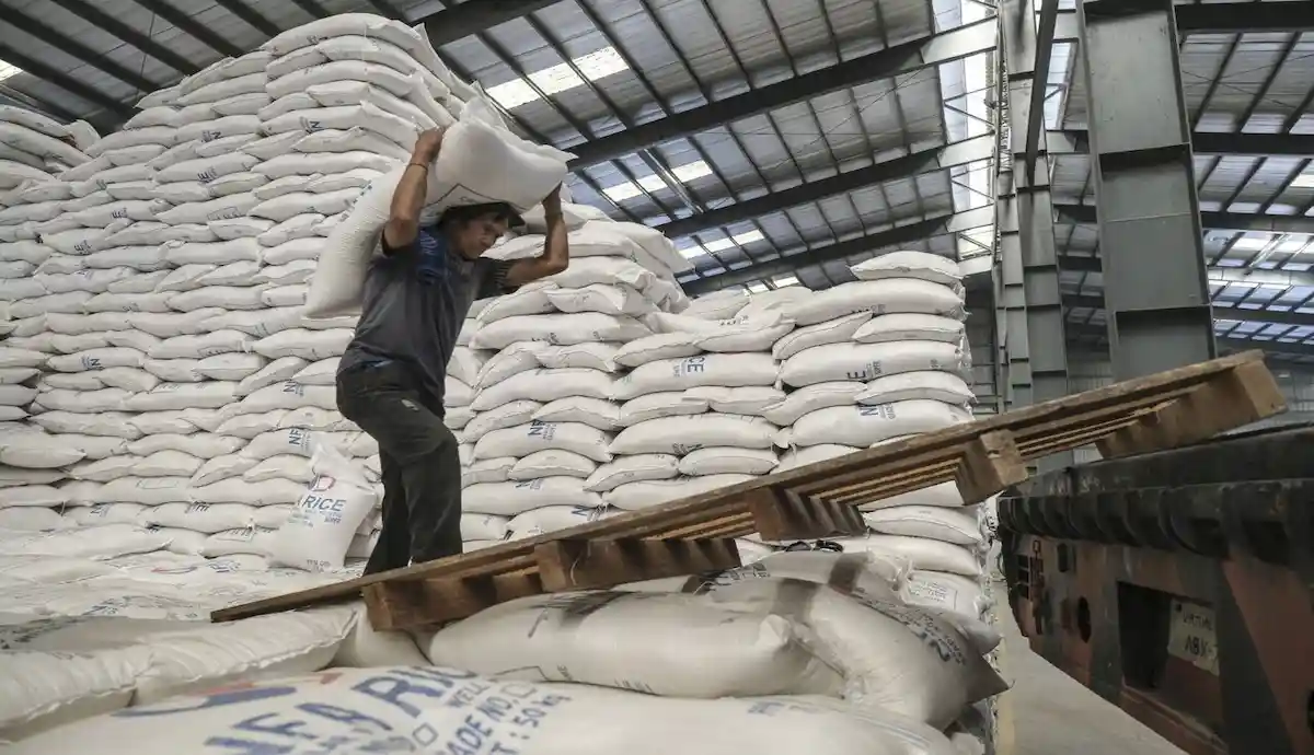 ممنوعیت فصلی واردات برنج آغاز شد