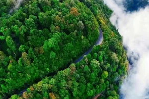 استاندار: اجازه ویلاسازی در گیلان را به افراد غیربومی نمی‌دهیم