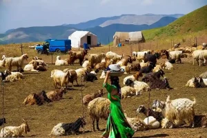 خشکسالی امسال عشایر را با کمبود شدید آب روبه‌رو کرد