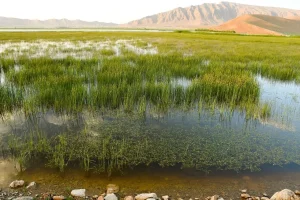 جوامع انسانی بخشی از تالاب‌ها هستند/ ارزش‌های اقتصادی، اجتماعی و اکولوژیکی تالاب‌ها تفکیک‌ناپذیرند