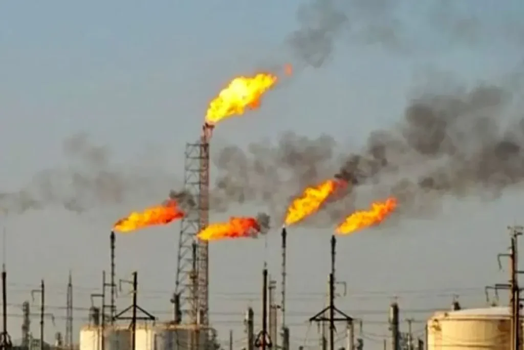 فلرهاینفتی 1200x690 ak3513 1200x800