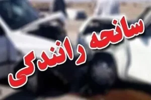 برخورد دو خودرو در جاده شیراز ۱۰ نفر را مصدوم کرد