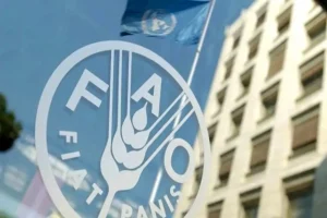 فائو: اثر جنگ خاورمیانه بر قیمت مواد غذایی هنوز نمایان نشده است