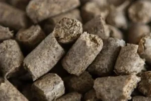 صادرات تفاله چغندر و نیشکر آزاد شد