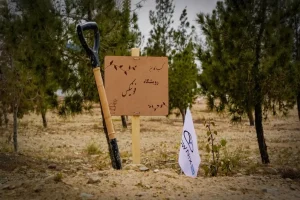 جایی که هر نهال، داستانی برای آینده‌ای سبز است