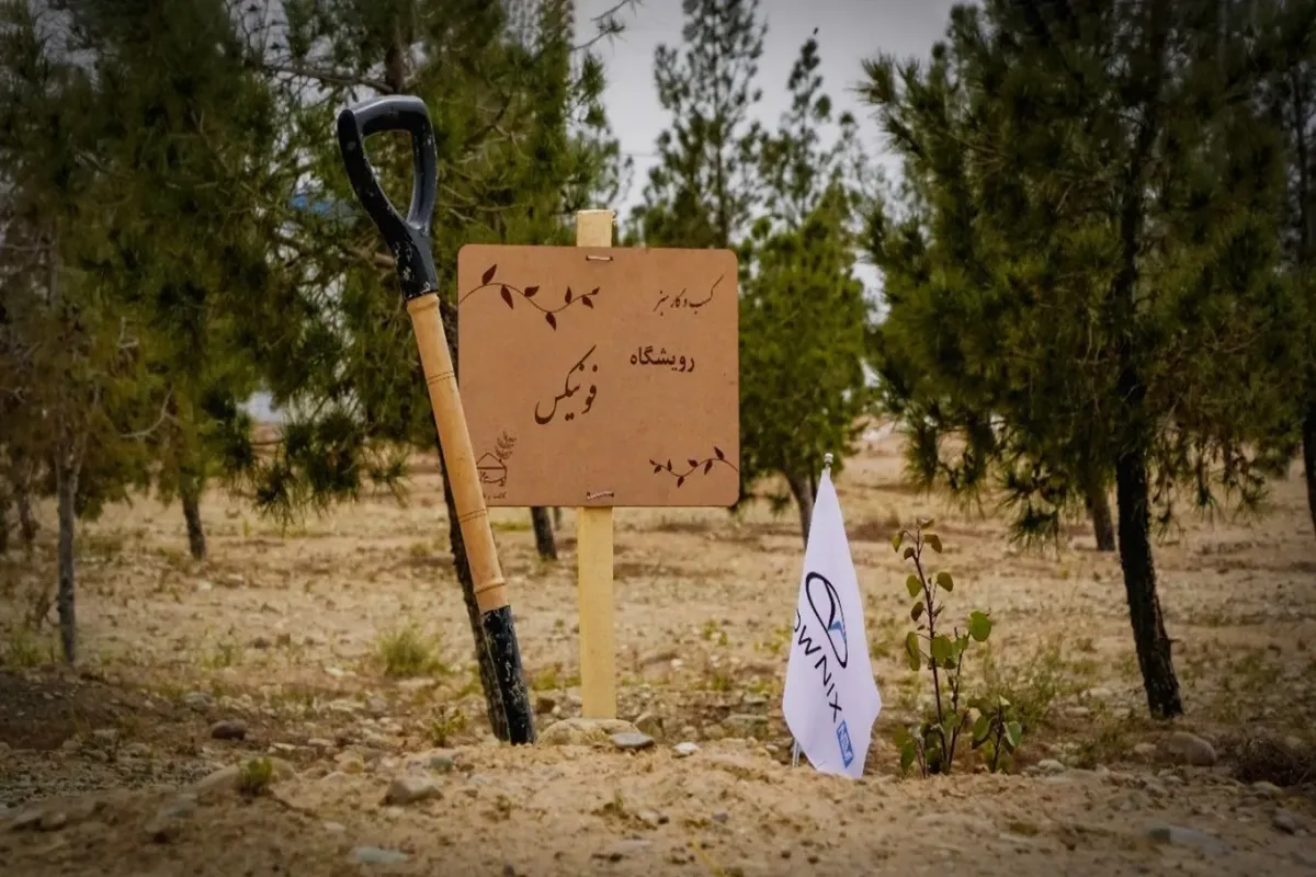 جایی که هر نهال، داستانی برای آینده‌ای سبز است