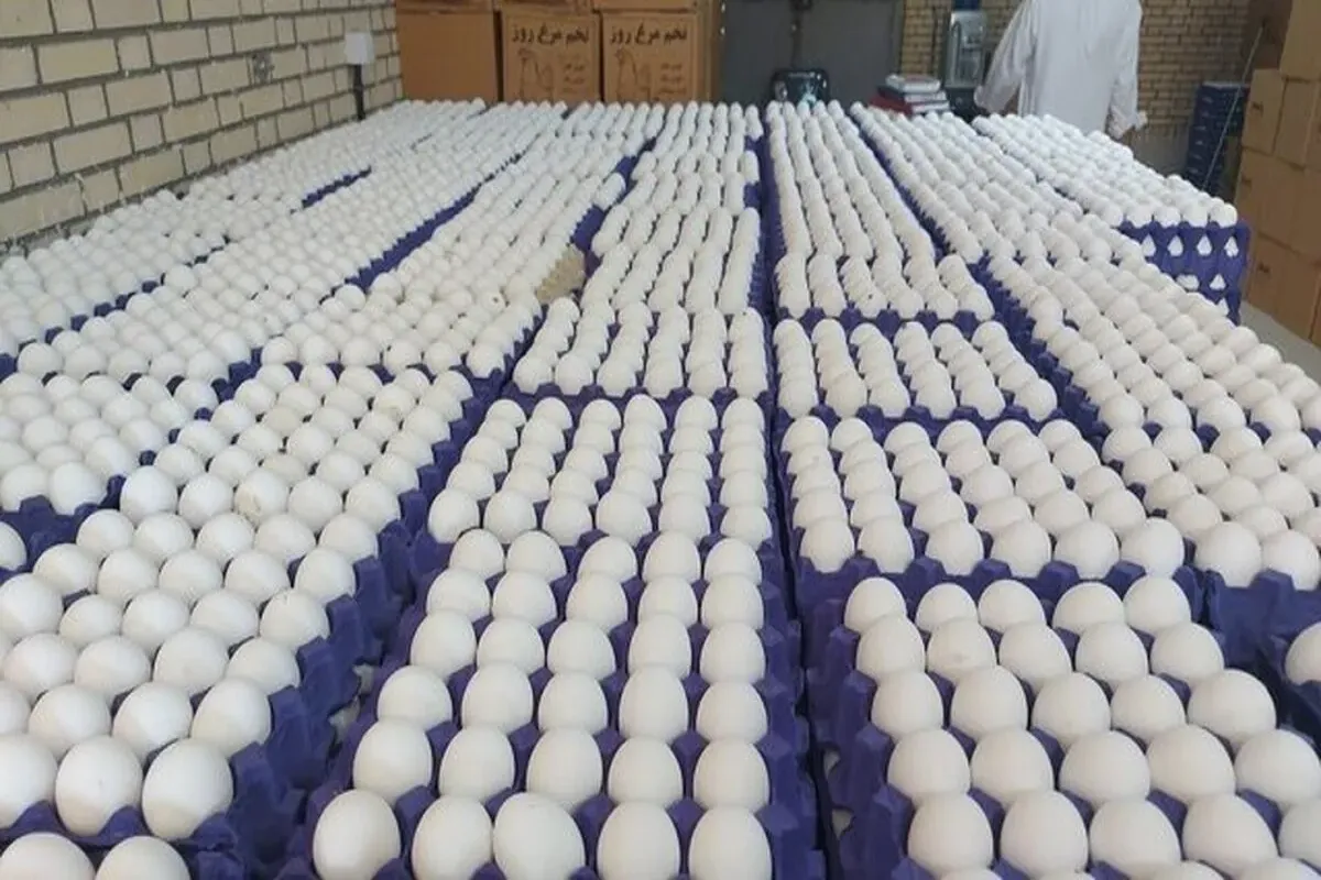 بحران در بازار تخم مرغ/ زیان روزانه صنعت مرغ تخم‌گذار به 140 میلیارد دلار رسید