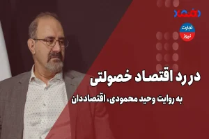در رد اقتصاد خصولتی