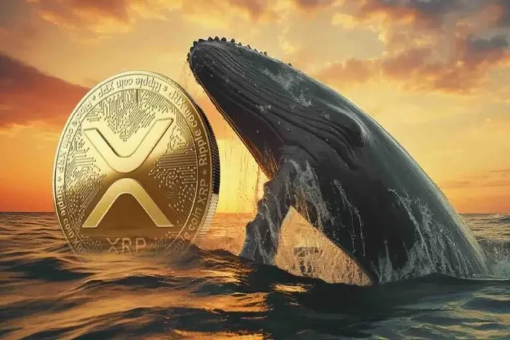 XRP Whales Accumulate 900M — 5 Target in Sight 696x392 1 ak6918 ak9782 1200x800