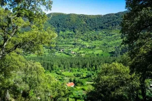 تونس پروژه ۲۴ میلیون دلاری برای احیای جنگل‌ها و توسعه روستاها را کلید زد