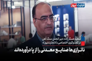 ناترازی‌ها صنایع معدنی را از پا درآورده‌اند