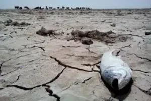 تاریخچه پتروشیمی میانکاله اهمیت مطالبات اجتماعی را نشان می‌دهد