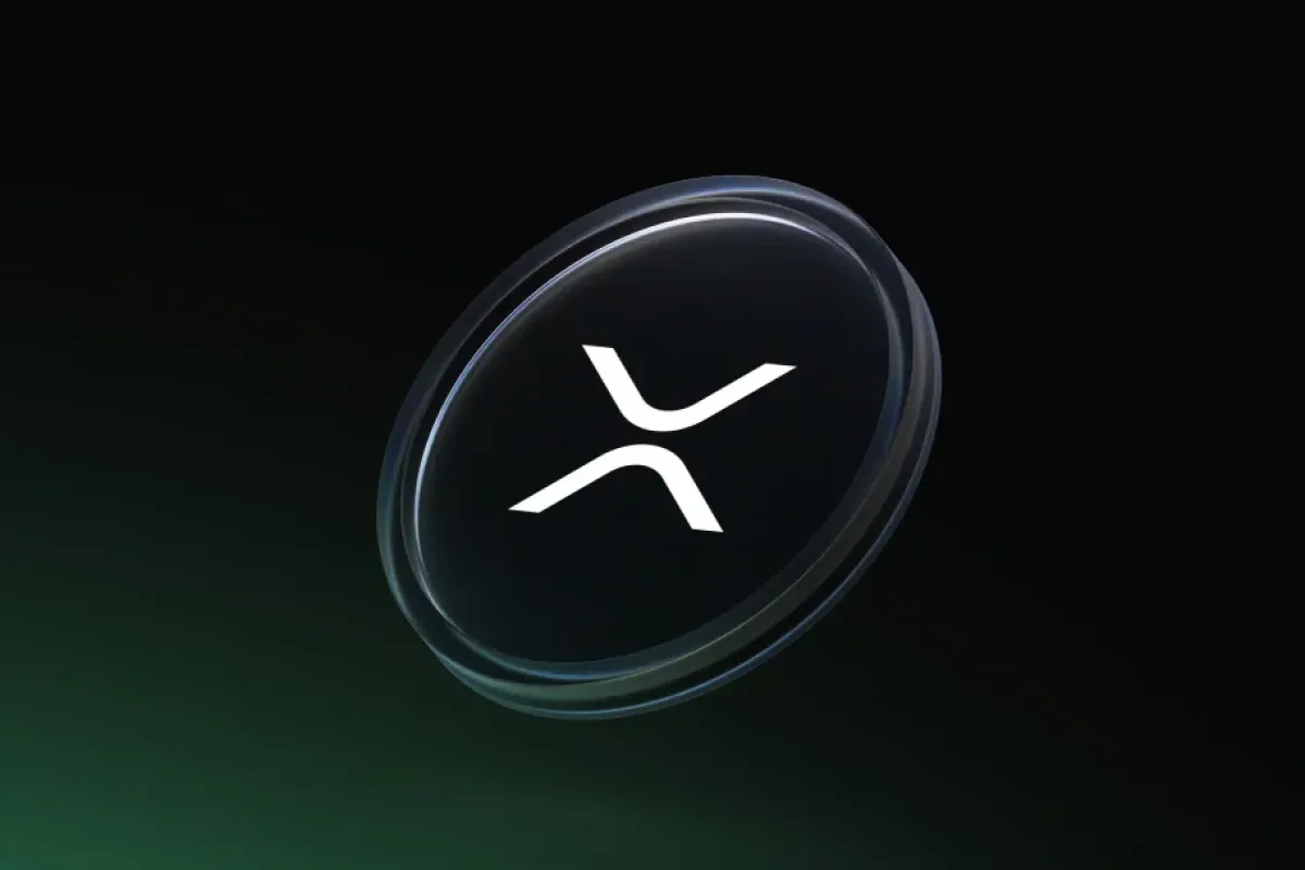 افزایش چشمگیر تعداد کیف‌پول‌های XRP/ رکوردشکنی در شبکه