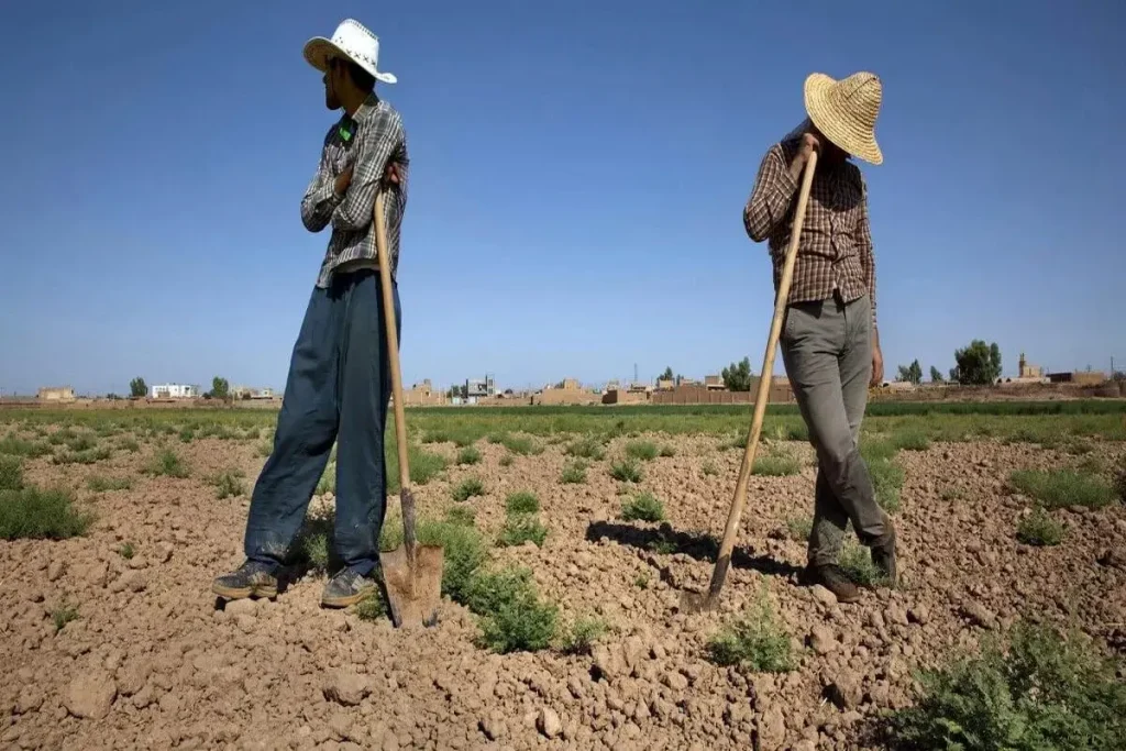 نرخ بیکاری در روستاها