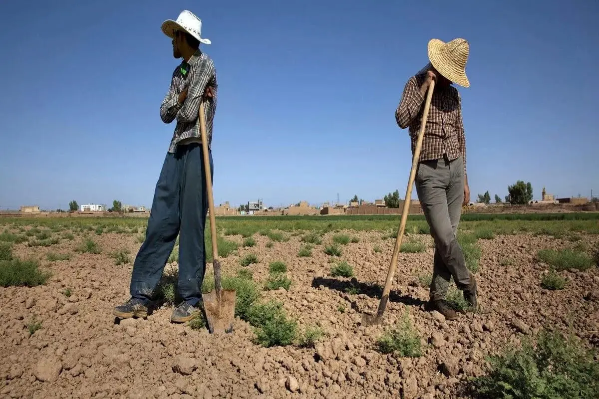 خروج جمعیت فعال اقتصادی از بازار کار مناطق روستایی/ 15.3 درصد از روستاییان تحصیل کرده بیکارند