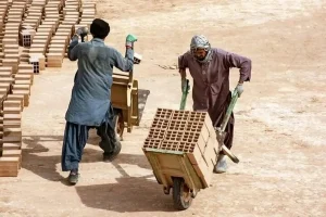 سهم اتباع در بازار کار ایران بیش از ۱۰ درصد است