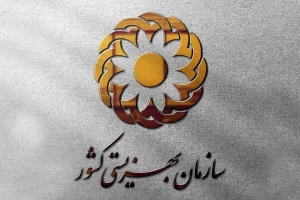 خدمات بهزیستی کشور هوشمند می شود