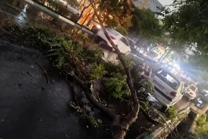 رئیس اورژانس تهران: طوفان دیشب ۷ مصدوم برجای گذاشت