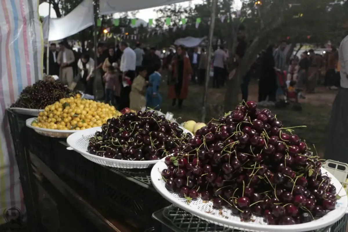 پس از گوجه سبز و چغاله بادام، گیلاس هم با قیمت میلیونی به بازار رسید!