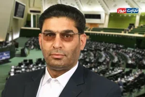 نظرات نمایندگان درباره مدنی زاده فعلا پنجاه پنجاه است / وزیر پیشنهادی اقتصاد باید بگوید برای اقتصاد بیمار کشور چه برنامه‌ای دارد