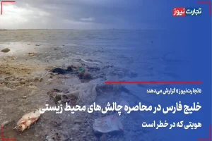 خلیج فارس در محاصره چالش‌ های محیط زیستی/ هویتی که در خطر است