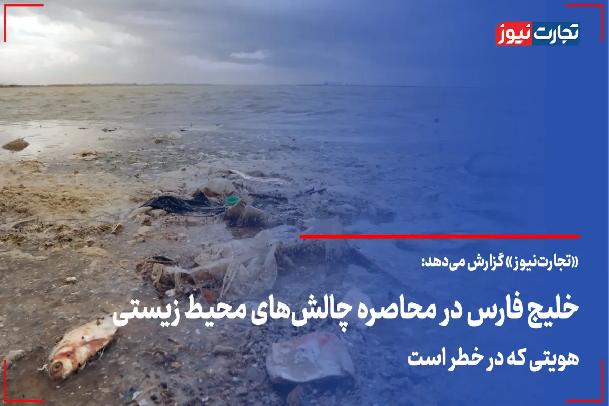 خلیج فارس در محاصره چالش‌ های محیط زیستی/ هویتی که در خطر است