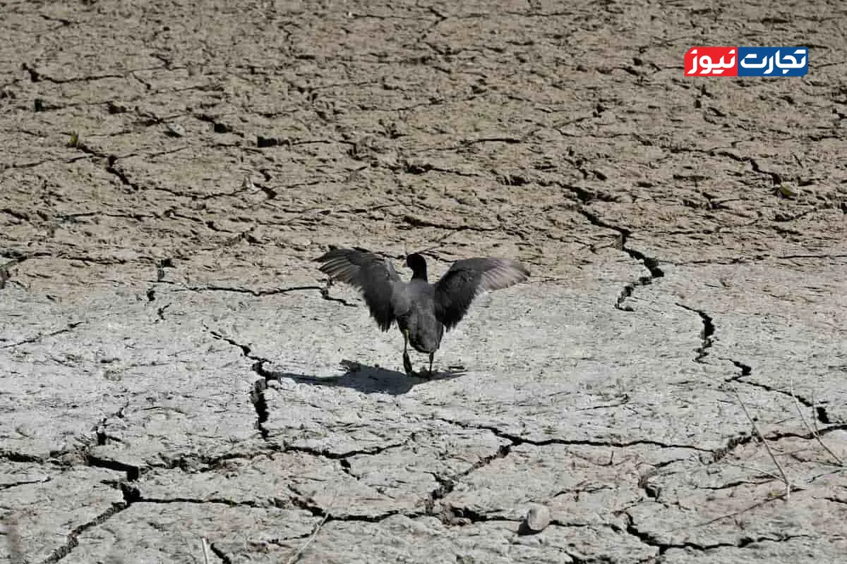 وضعیت اقلیمی