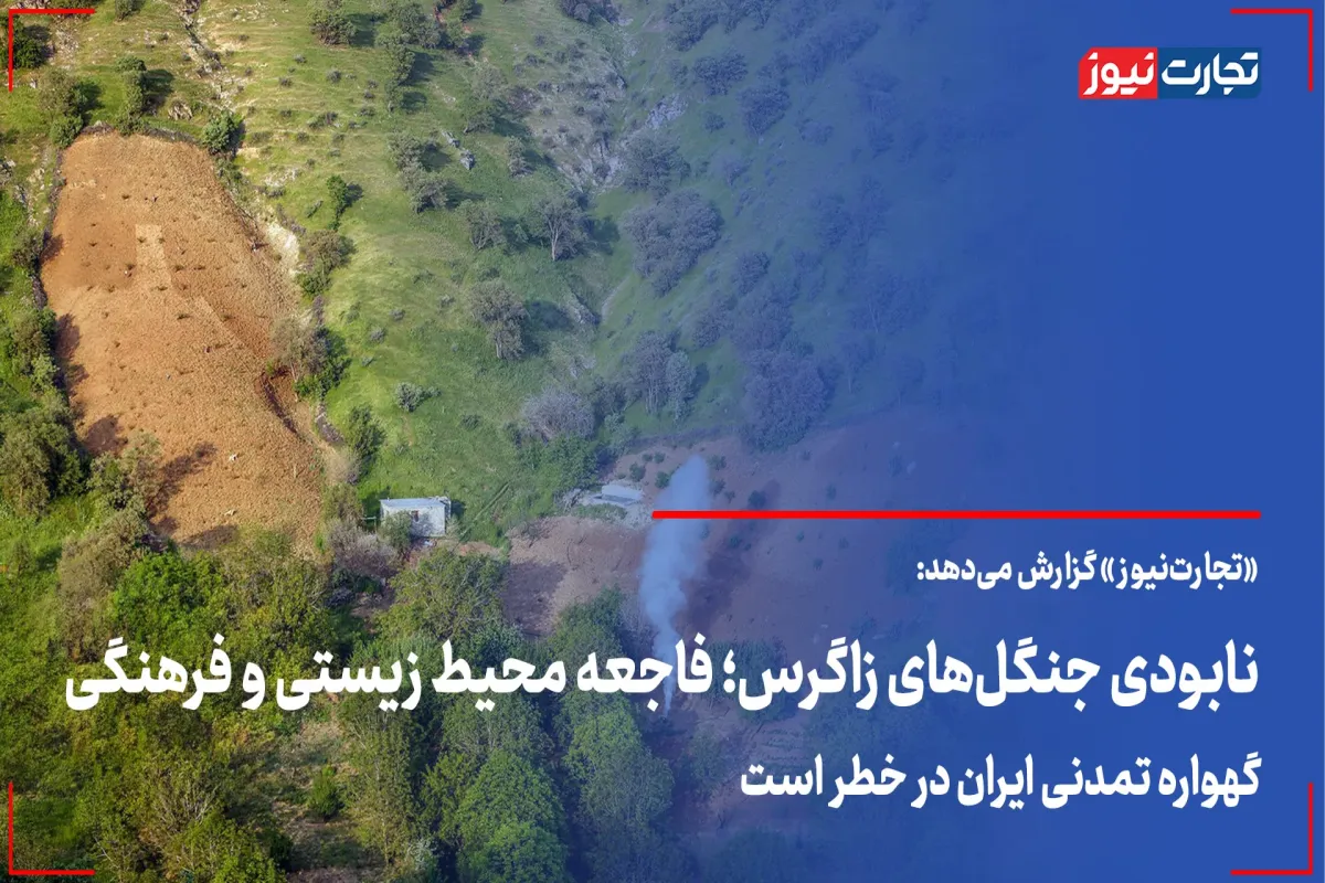 نابودی جنگل های زاگرس؛ فاجعه محیط زیستی و فرهنگی/ گهواره تمدنی ایران در خطر است