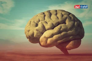 اینفوگرافی| راهنمای سلامت روان در شرایط بحرانی