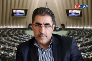 بانک مرکزی پاشنه آشیل حوزه اقتصاد و وزارت اقتصاد است / وزیر اقتصاد باید در برابر ضعف عملکرد دیگر دستگاه‌ها پاسخگو باشد