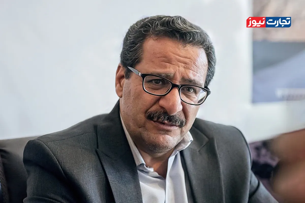 وزیر اقتصاد نیازی به تجربه اجرایی ندارد/ مدنی‌زاده باید تمرکز خود را بر شایسته‌سالاری بگذارد