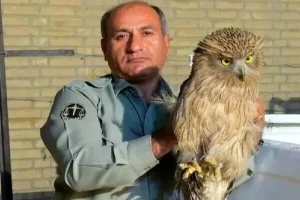 جزئیات شهادت محیط بان هدایت‌الله دیده‌بان