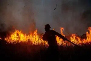 گرمای شدید در اروپا؛ صدها نفر از جزیره‌ای در یونان تخلیه شدند