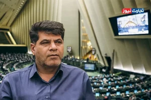 تولید گندم نسبت به سال گذشته در کل کشور نصف شده است / برای جبران کمبود مقداری گندم وارد شده است
