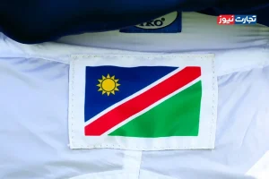 از گویان تا نامیبیا؛ جست‌وجوی گنج در دل اقیانوس اطلس!