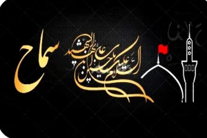 آغاز فروش بلیت پرواز اربعین در حالی‌که سماح راه‌اندازی نشده است