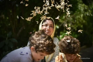 سریال سووشون نیامده بی‌مخاطب شد