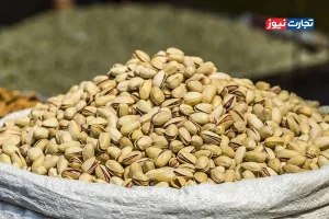 صادرات پسته قربانی مقررات ارزی شده است / دولت باید به صادرکنندگان اعتماد کند