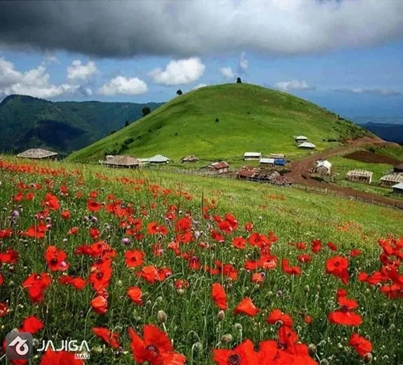 رزرو کلبه در ییلاقات سوباتان تالش