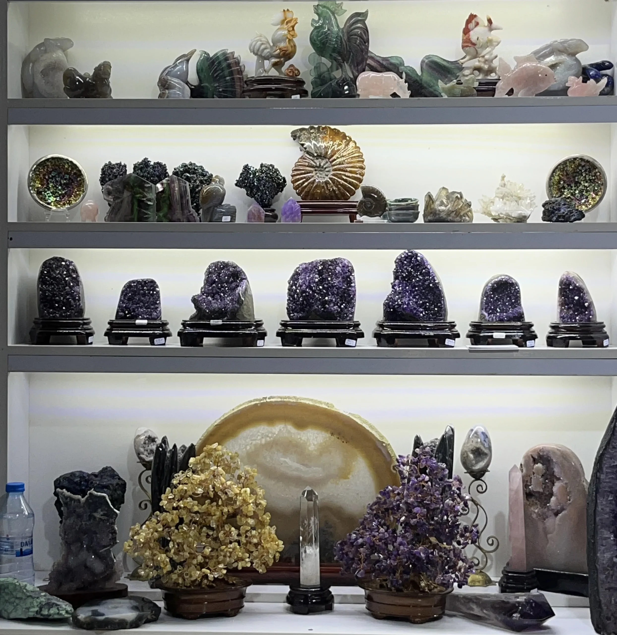 نمایشگاه گوهر سنگ 