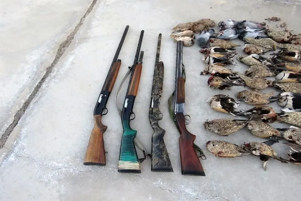 شکارچی ak4461